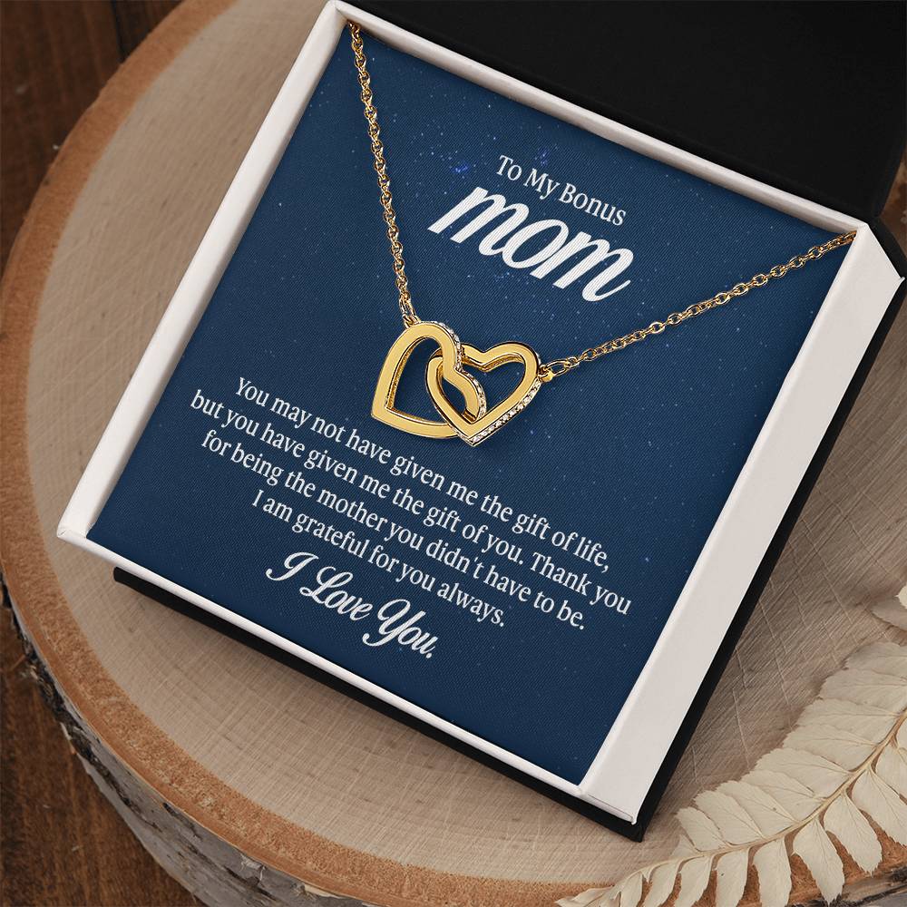 To my mom - you may not have given me the gift of life