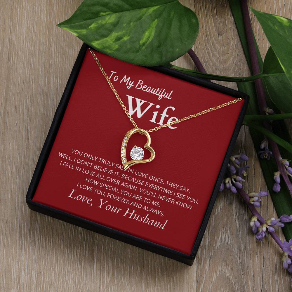 TO MY BEAUTIFUL WIFE