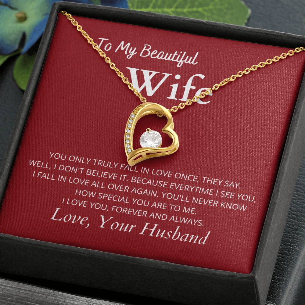 TO MY BEAUTIFUL WIFE
